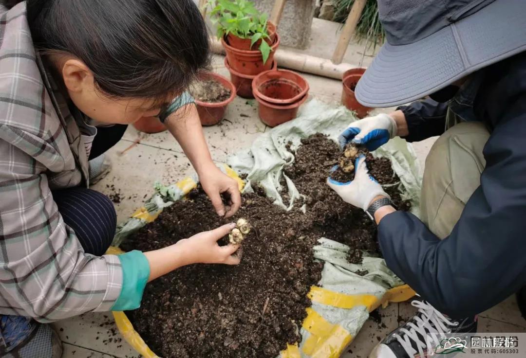 亚洲精品白浆高清久久久久久