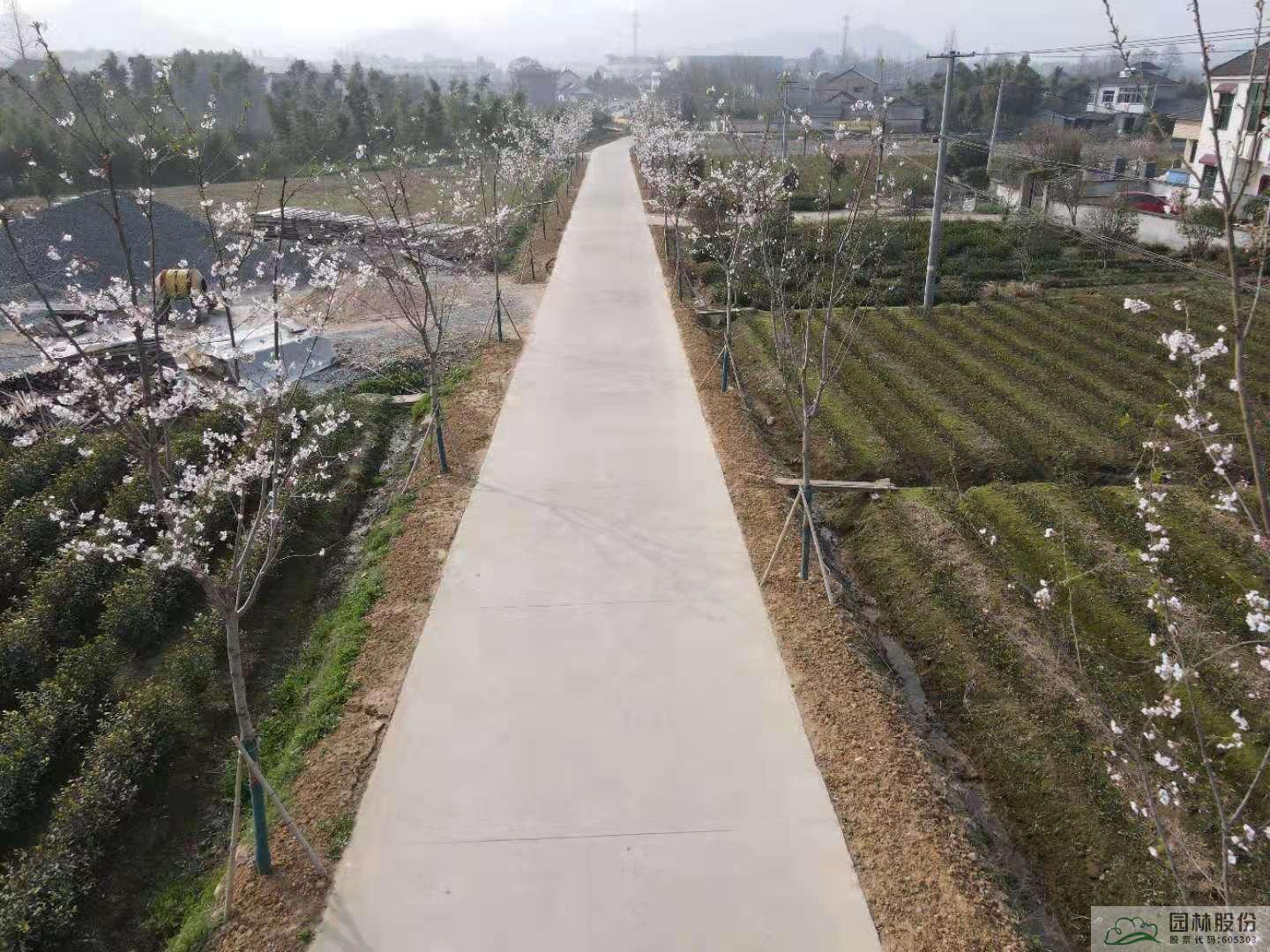 亚洲精品白浆高清久久久久久