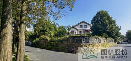 亚洲精品白浆高清久久久久久