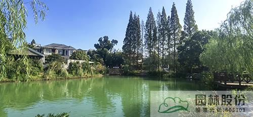 亚洲精品白浆高清久久久久久