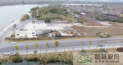 亚洲精品白浆高清久久久久久