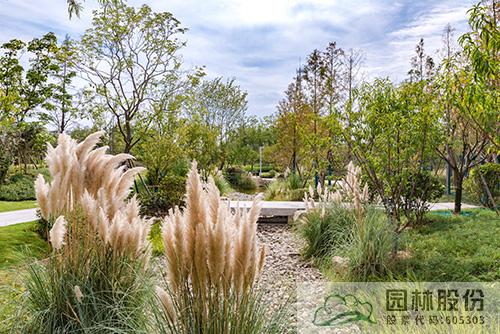 亚洲精品白浆高清久久久久久