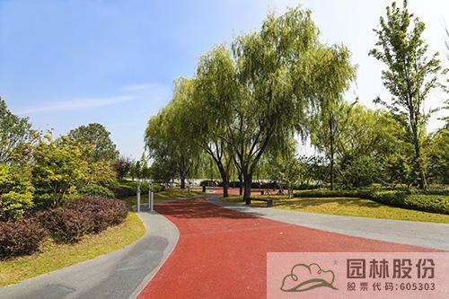 亚洲精品白浆高清久久久久久