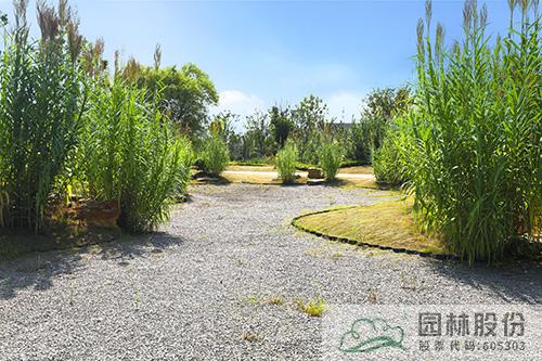 亚洲精品白浆高清久久久久久