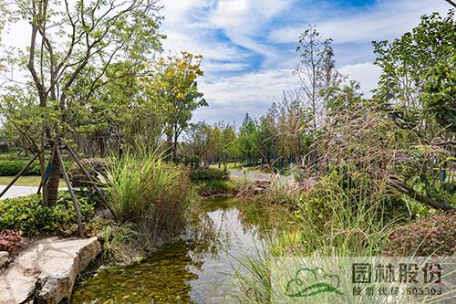 亚洲精品白浆高清久久久久久