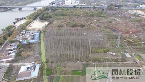 亚洲精品白浆高清久久久久久