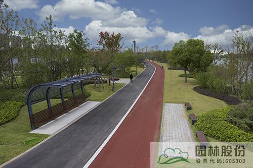 亚洲精品白浆高清久久久久久