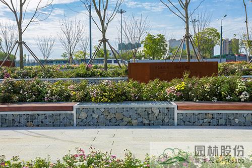 亚洲精品白浆高清久久久久久