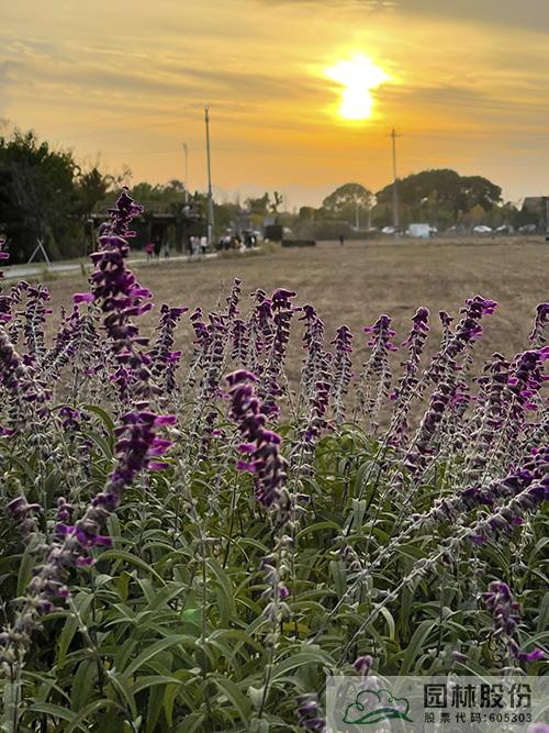 亚洲精品白浆高清久久久久久