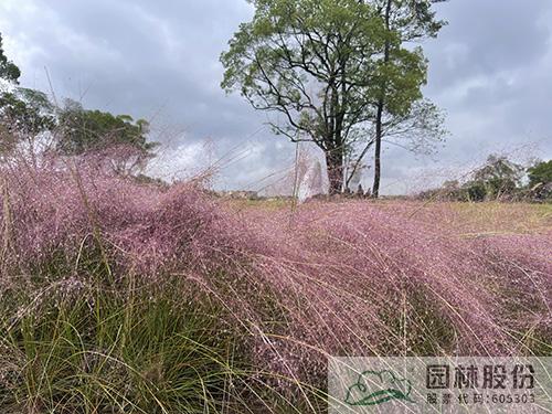 亚洲精品白浆高清久久久久久