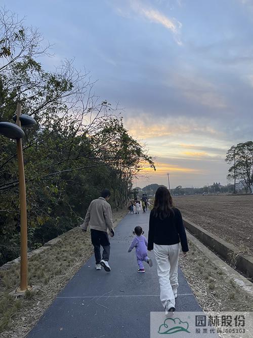 亚洲精品白浆高清久久久久久