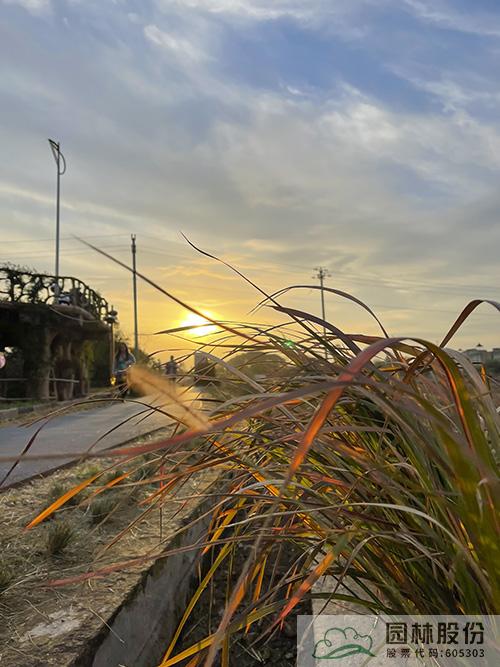 亚洲精品白浆高清久久久久久