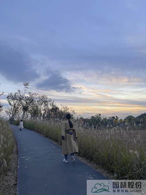 亚洲精品白浆高清久久久久久