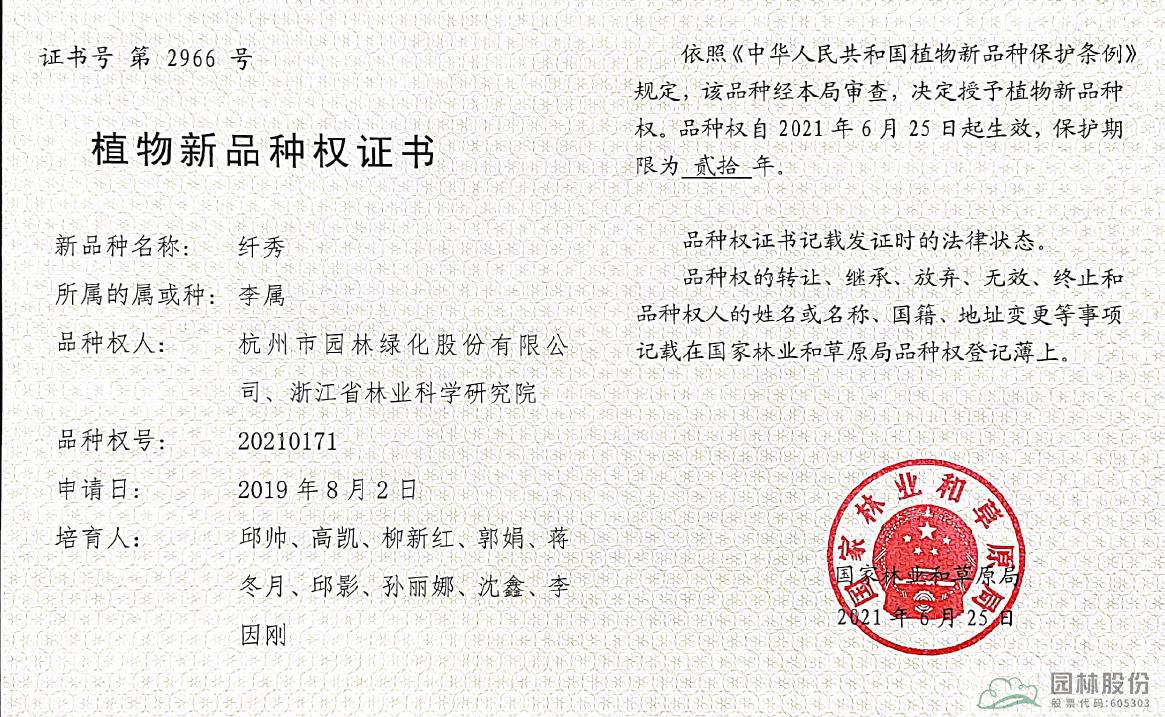 亚洲精品白浆高清久久久久久