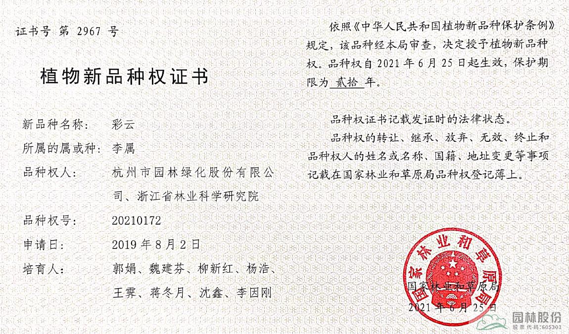 亚洲精品白浆高清久久久久久