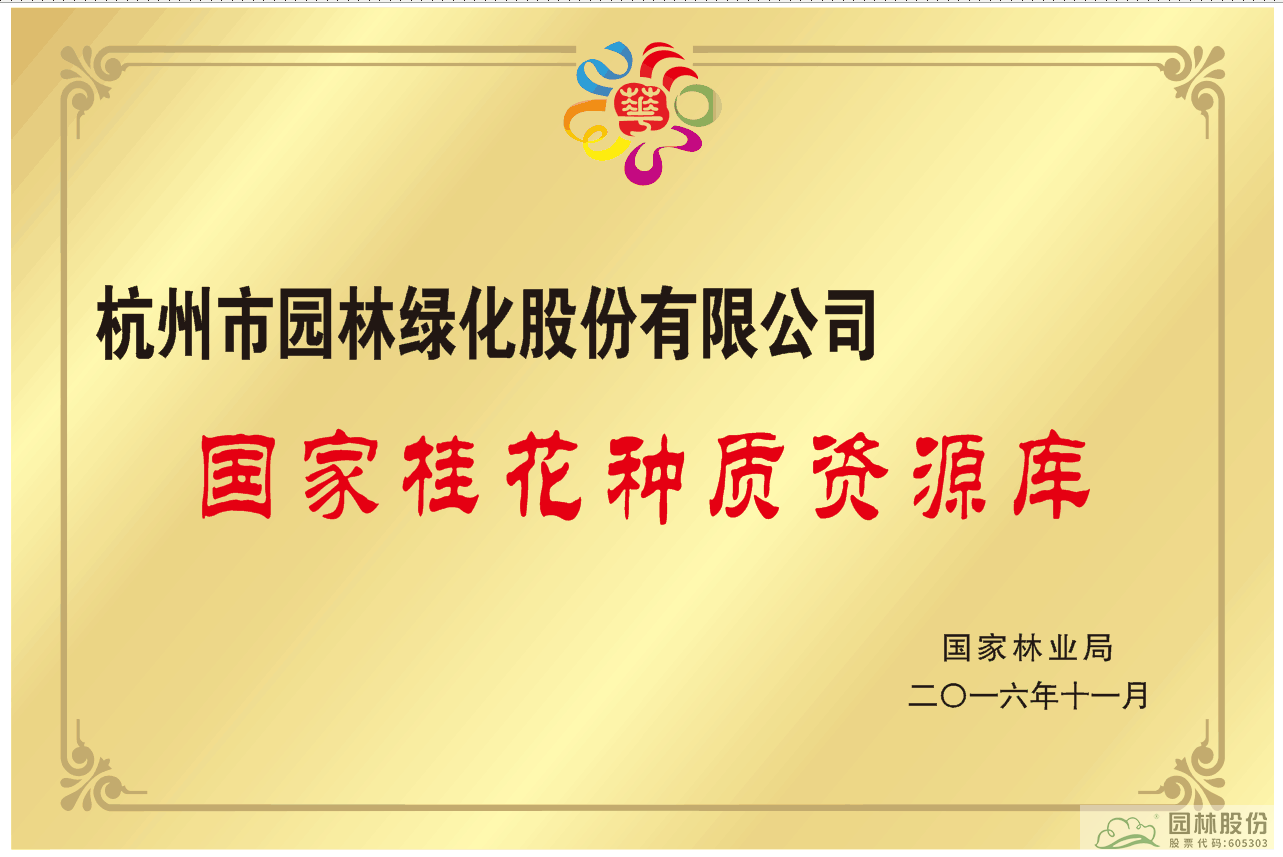 亚洲精品白浆高清久久久久久