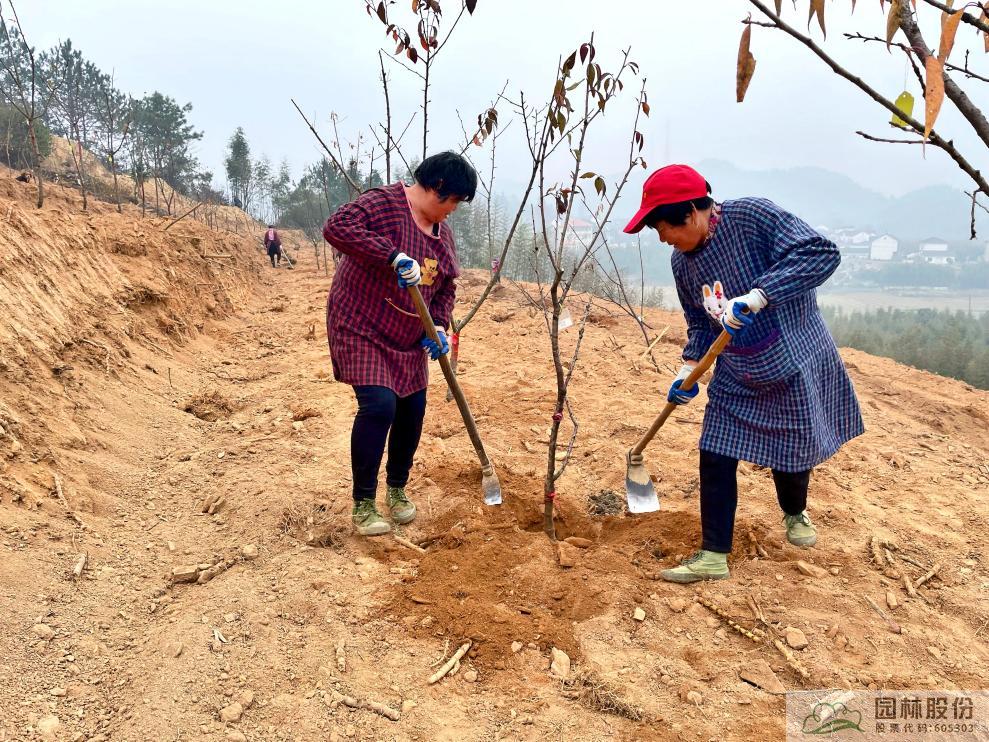 亚洲精品白浆高清久久久久久