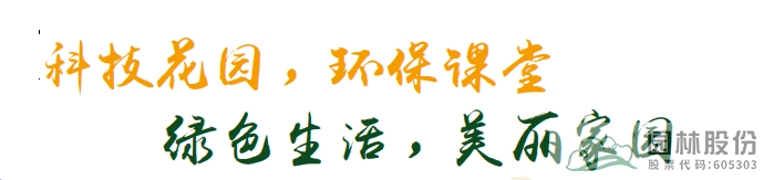 亚洲精品白浆高清久久久久久