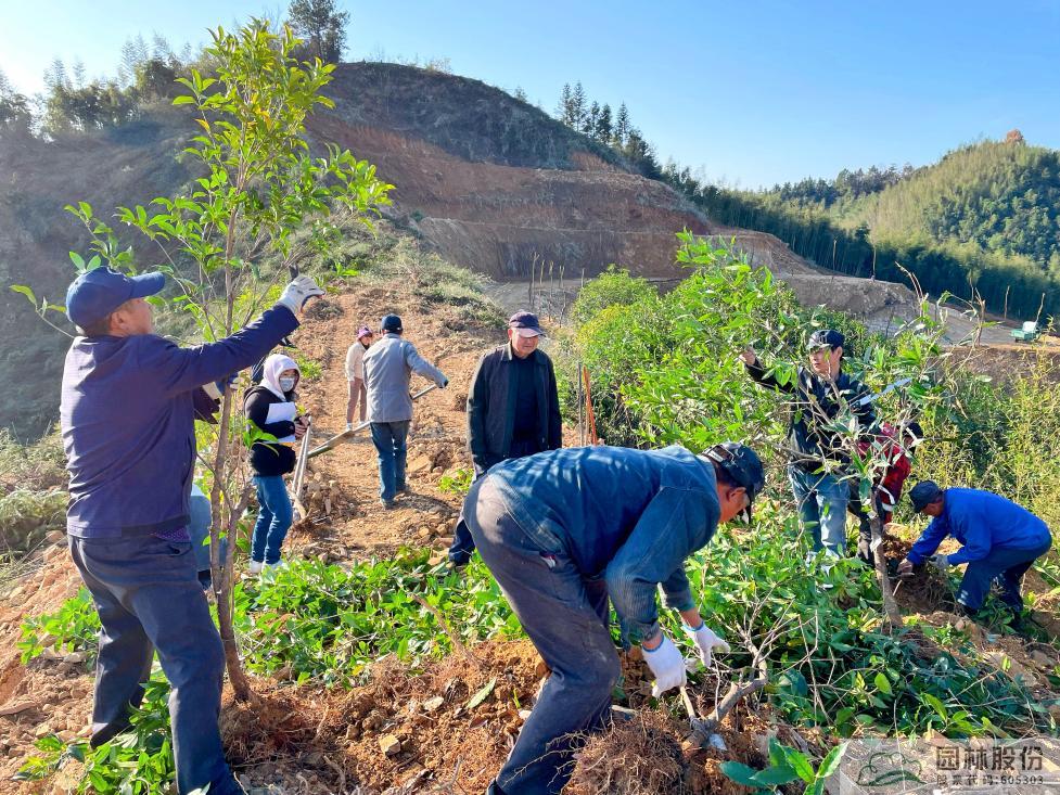 亚洲精品白浆高清久久久久久