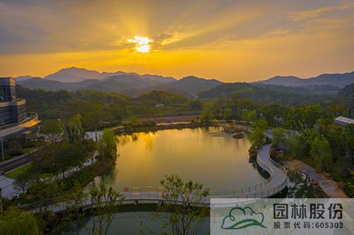 亚洲精品白浆高清久久久久久