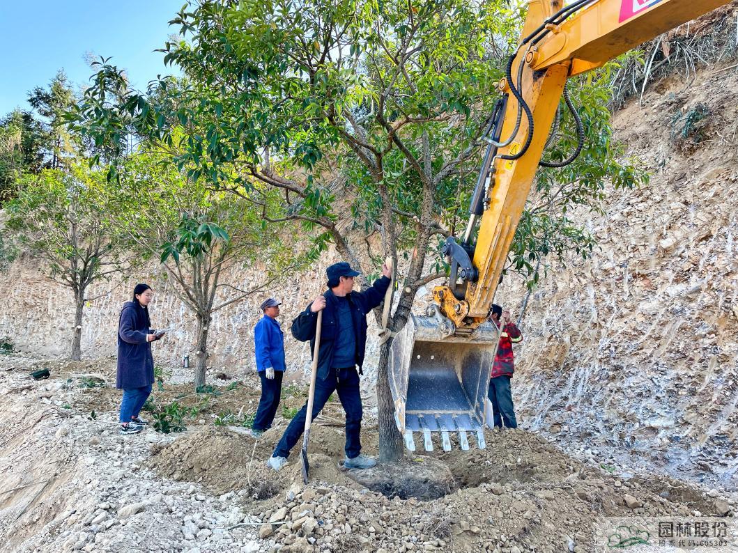 亚洲精品白浆高清久久久久久