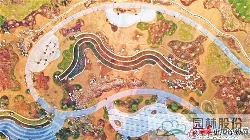 亚洲精品白浆高清久久久久久