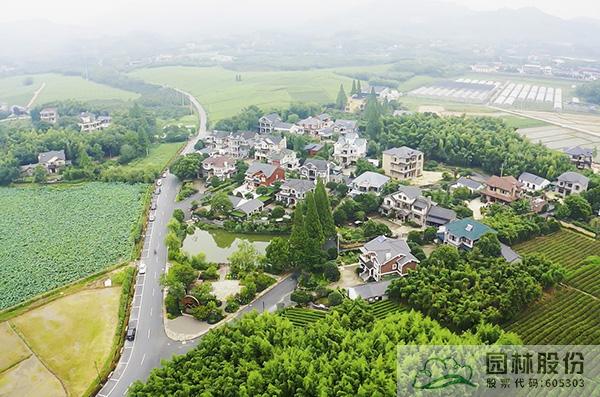 亚洲精品白浆高清久久久久久