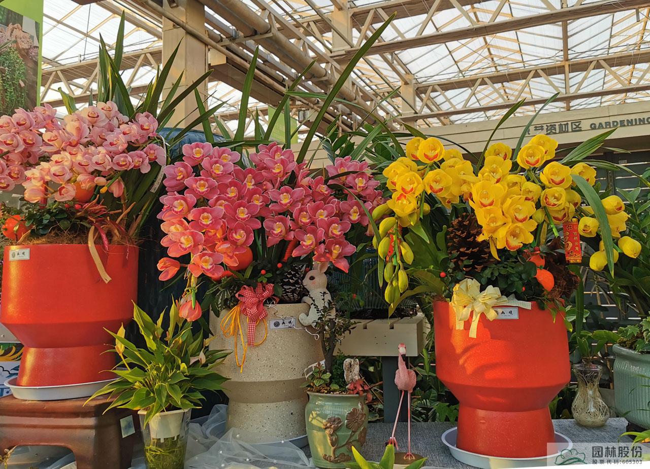 亚洲精品白浆高清久久久久久