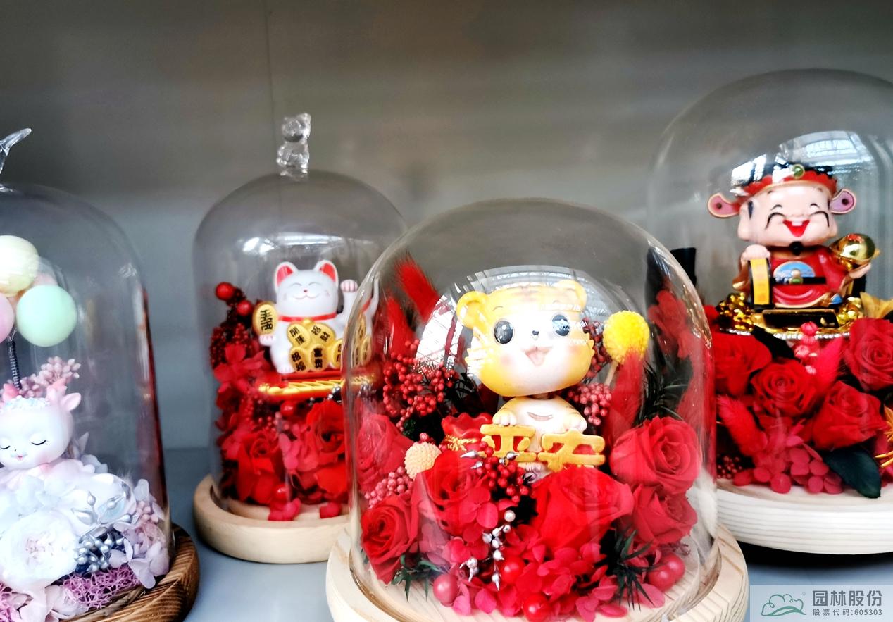 亚洲精品白浆高清久久久久久