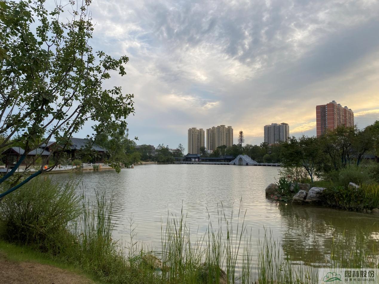 亚洲精品白浆高清久久久久久