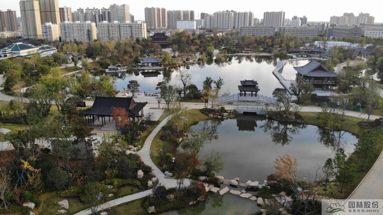 亚洲精品白浆高清久久久久久