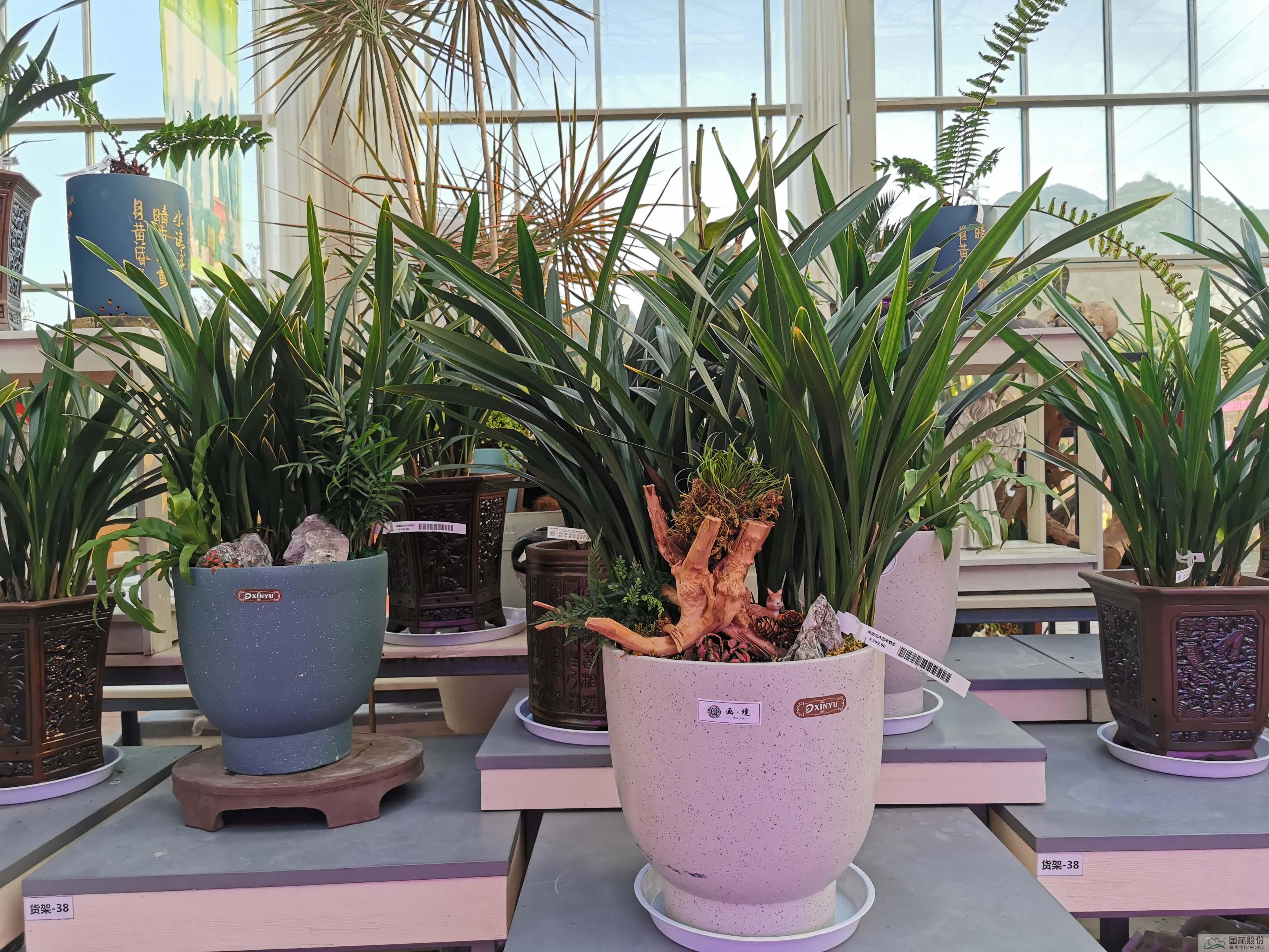 亚洲精品白浆高清久久久久久