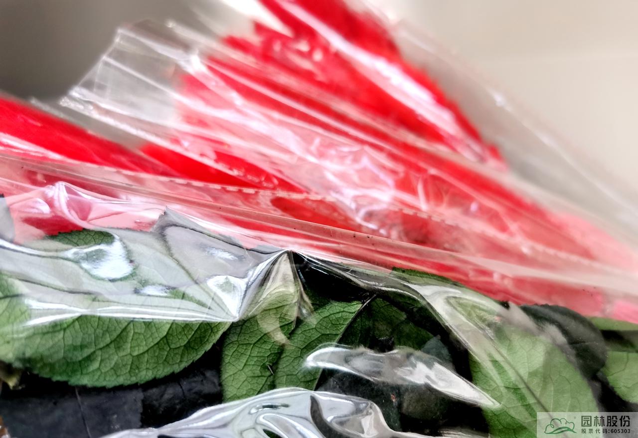 亚洲精品白浆高清久久久久久