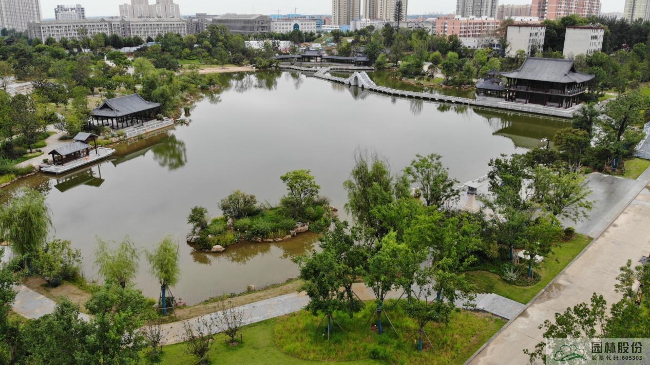 亚洲精品白浆高清久久久久久