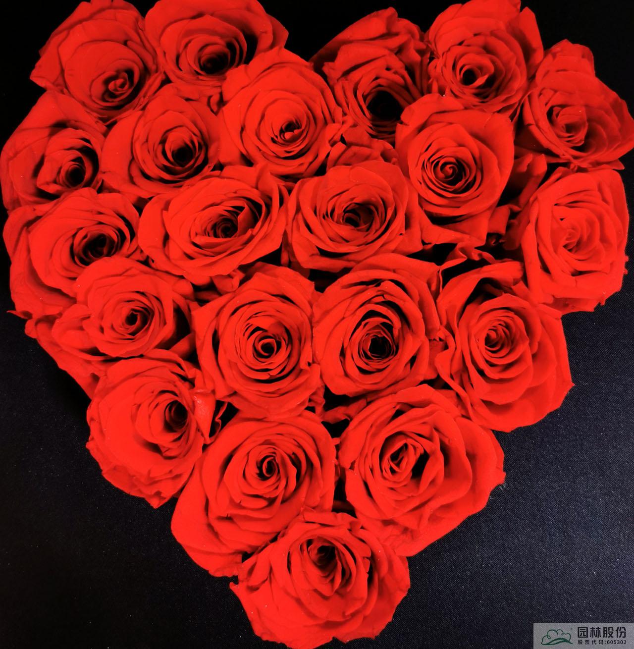 亚洲精品白浆高清久久久久久