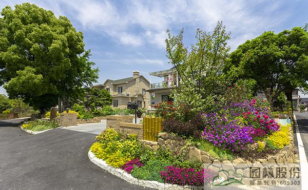 亚洲精品白浆高清久久久久久