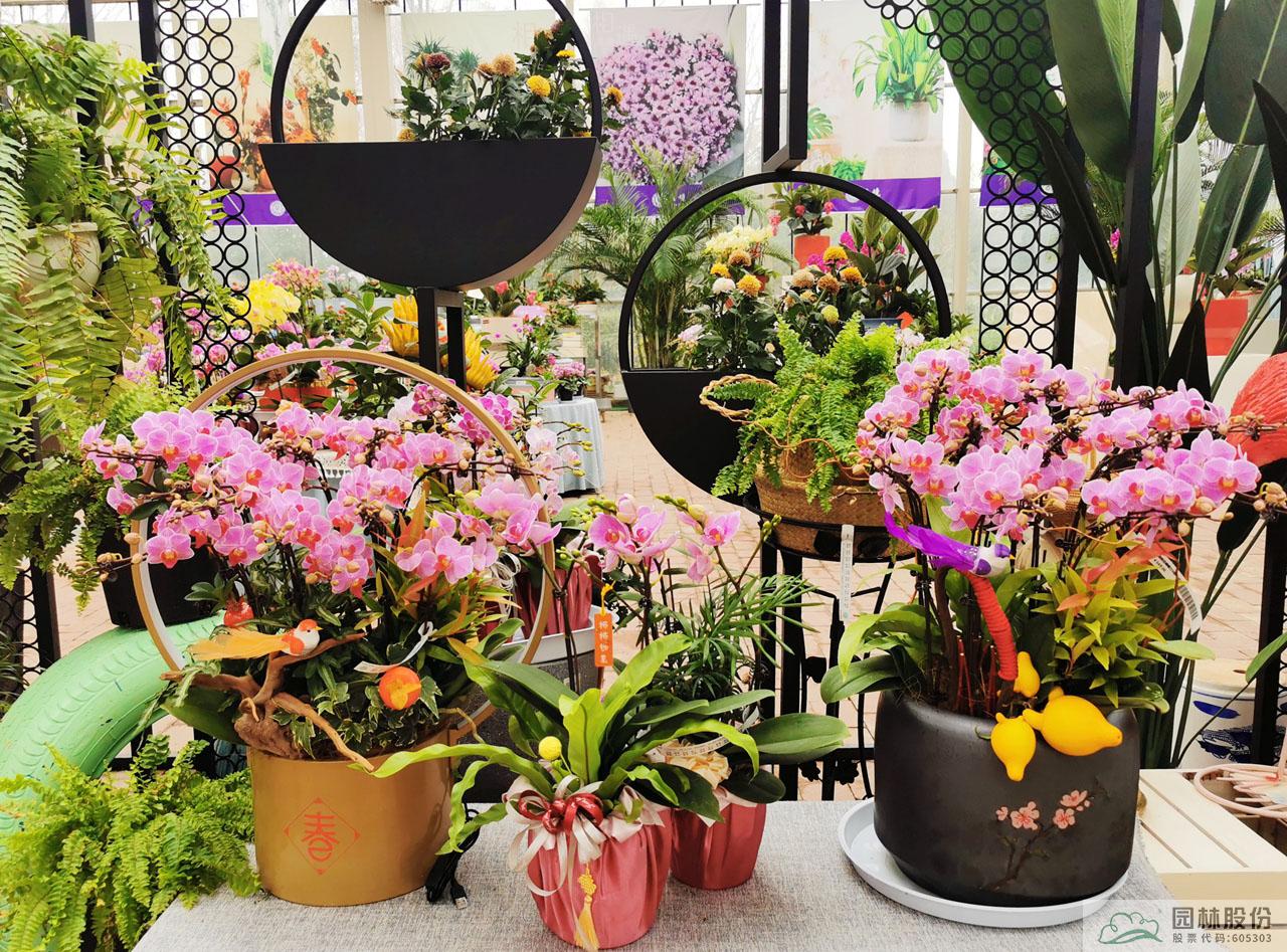 亚洲精品白浆高清久久久久久