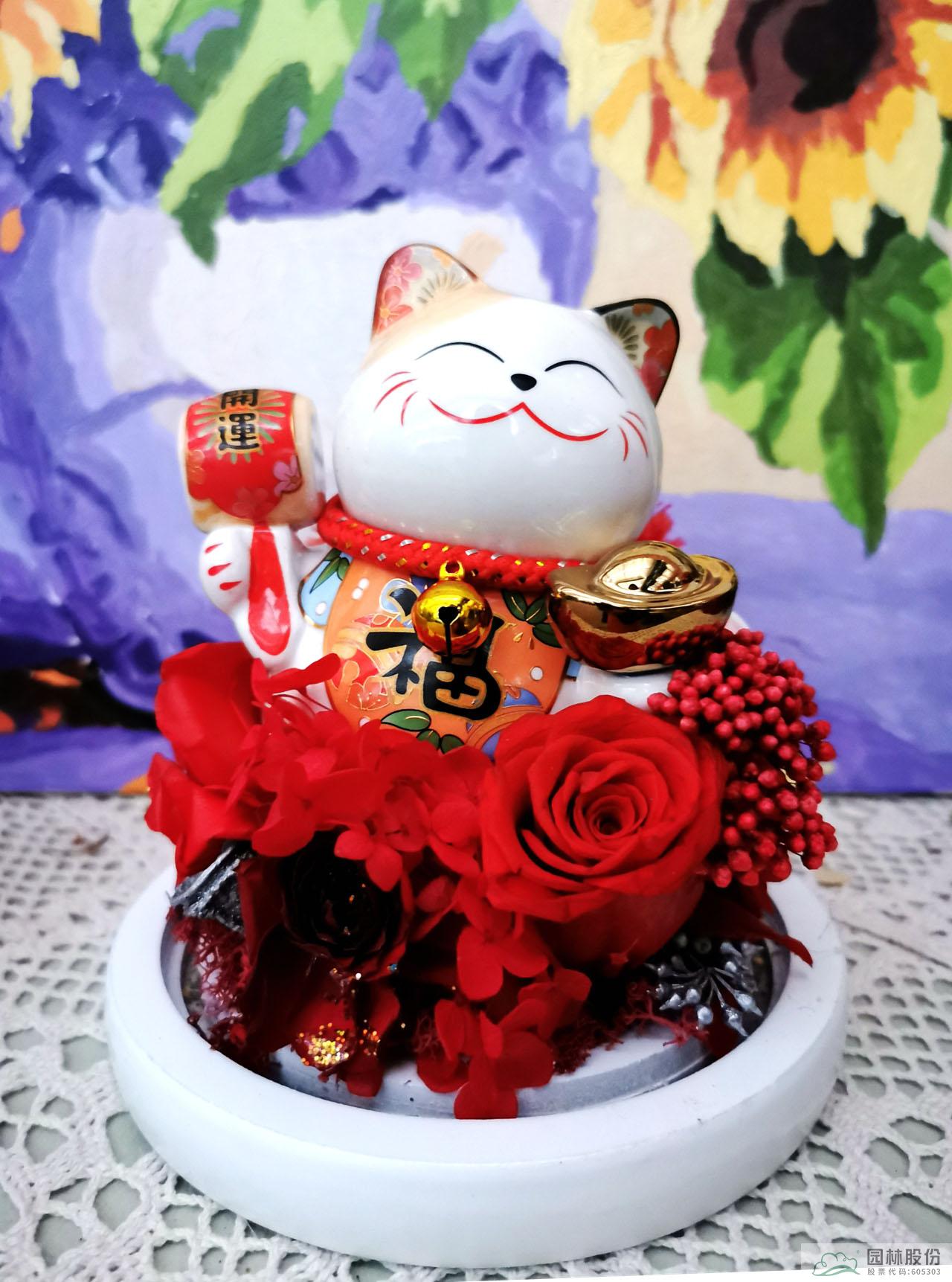 亚洲精品白浆高清久久久久久