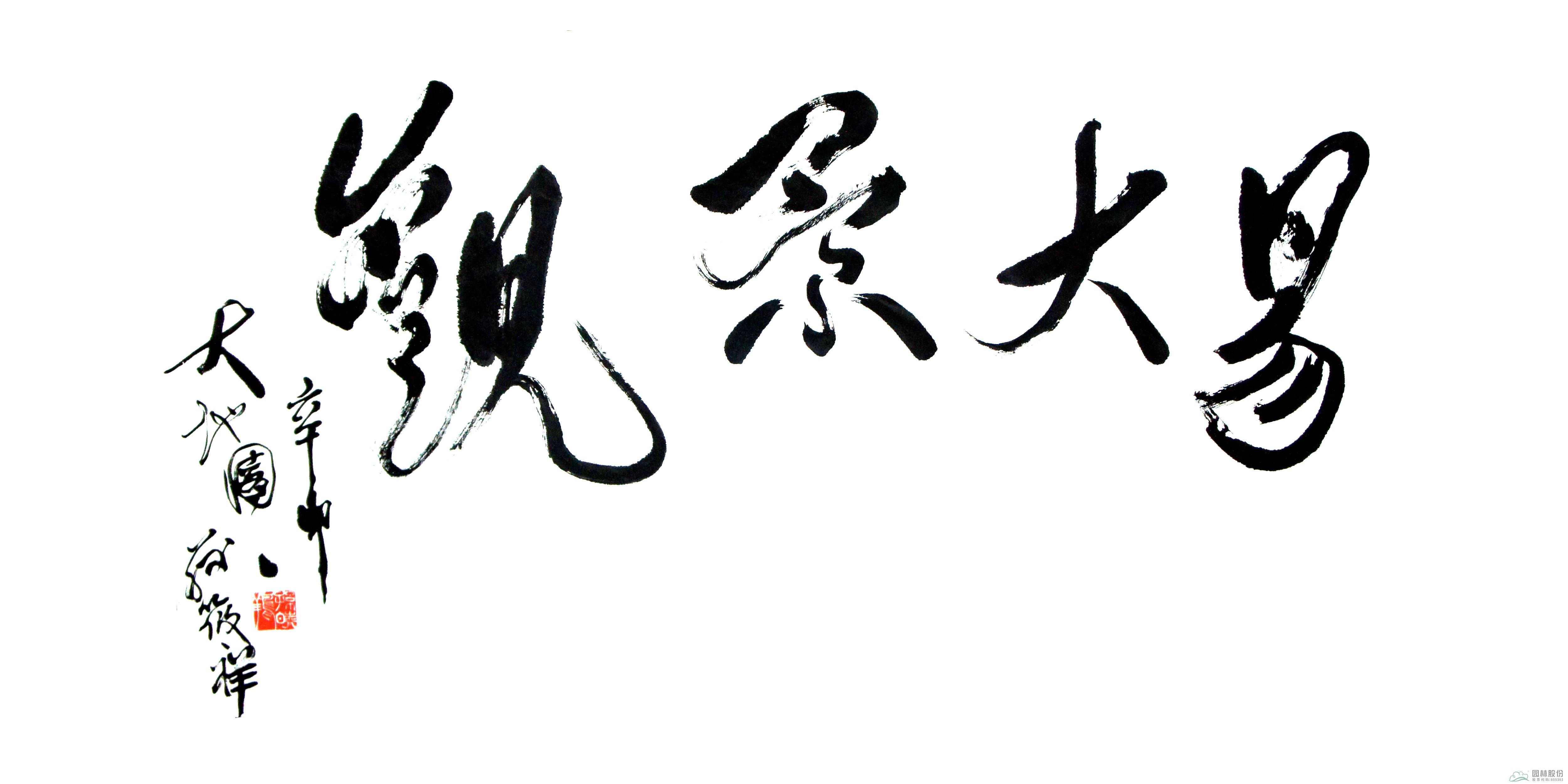 亚洲精品白浆高清久久久久久