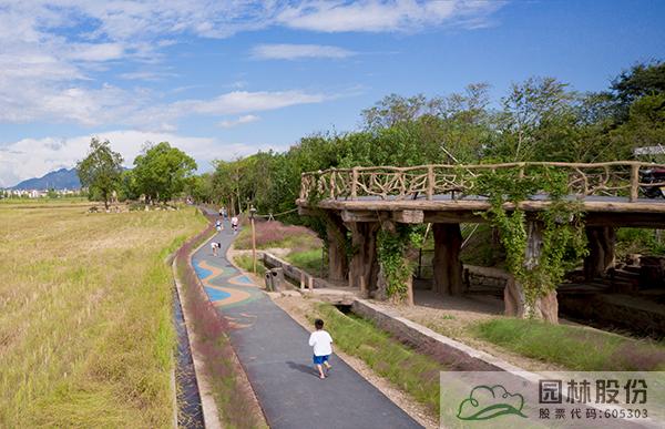 亚洲精品白浆高清久久久久久