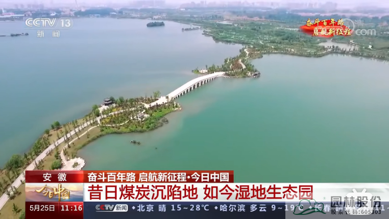 亚洲精品白浆高清久久久久久