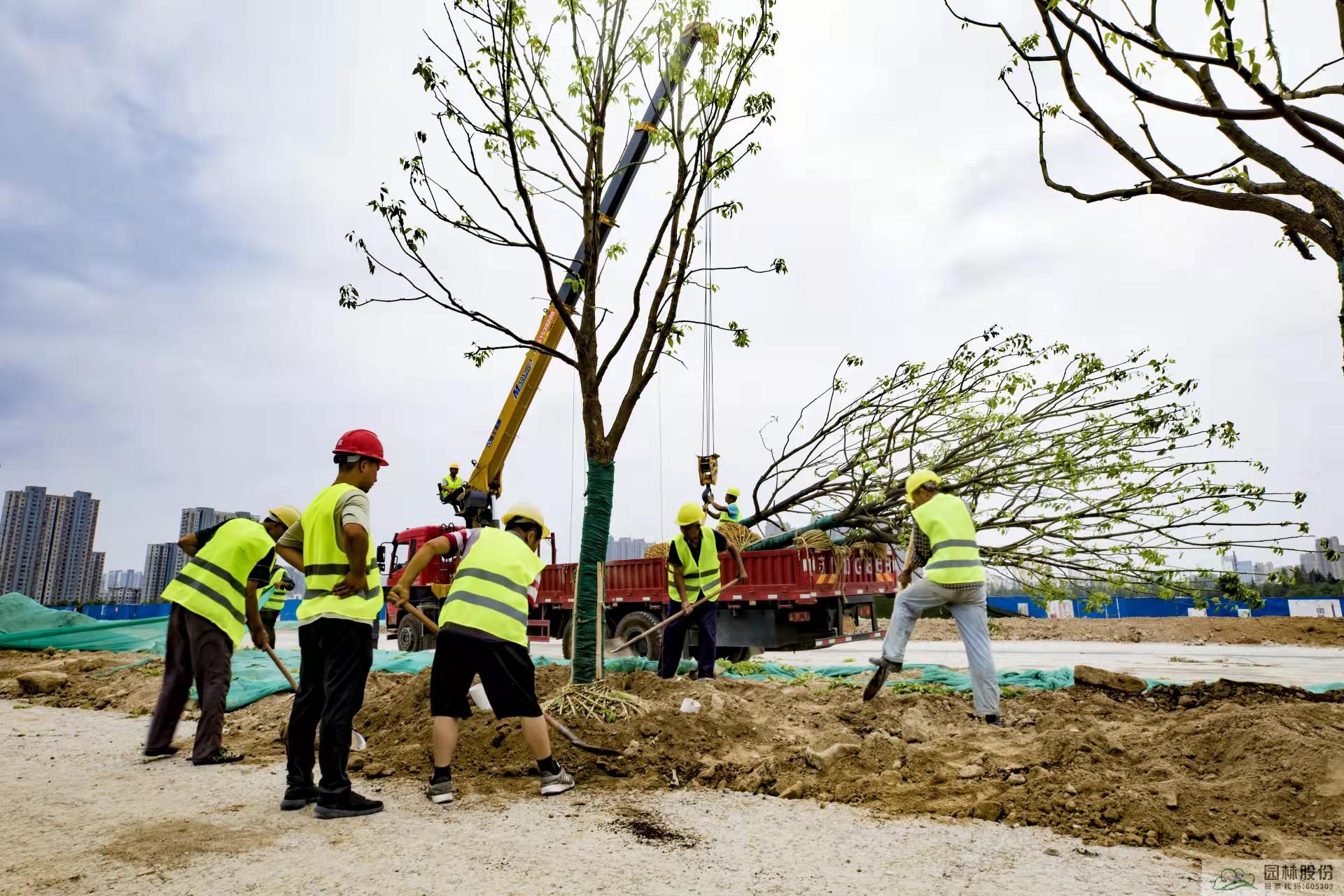 亚洲精品白浆高清久久久久久