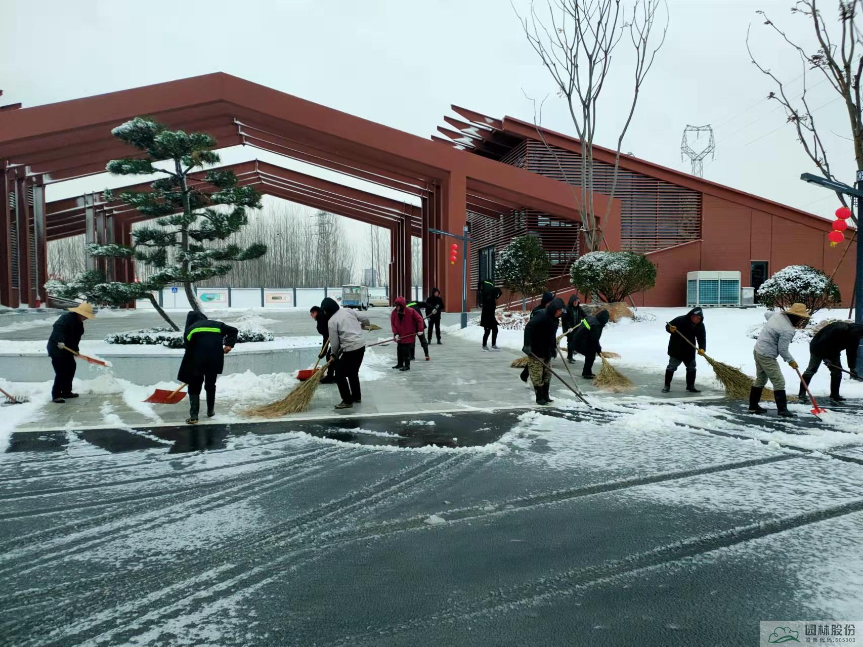 亚洲精品白浆高清久久久久久