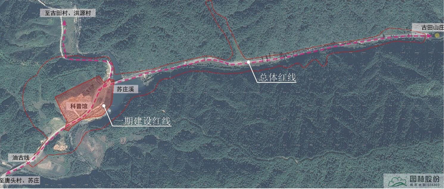 亚洲精品白浆高清久久久久久