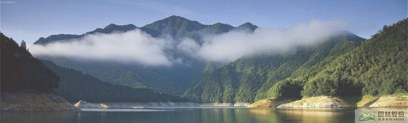 亚洲精品白浆高清久久久久久