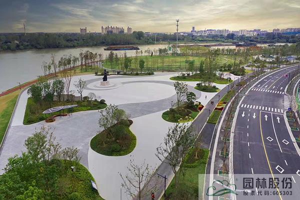 亚洲精品白浆高清久久久久久