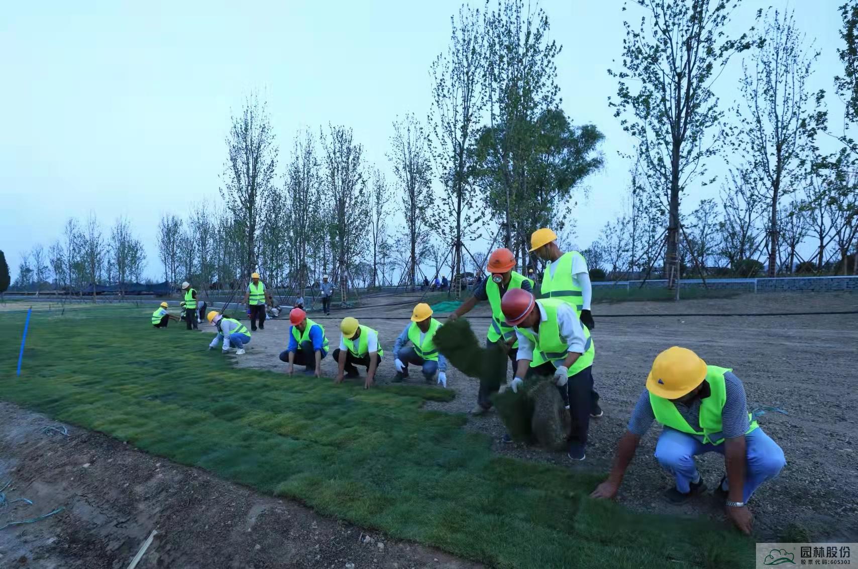 亚洲精品白浆高清久久久久久