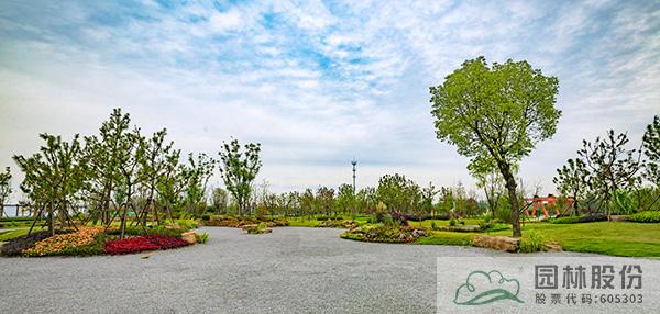 亚洲精品白浆高清久久久久久