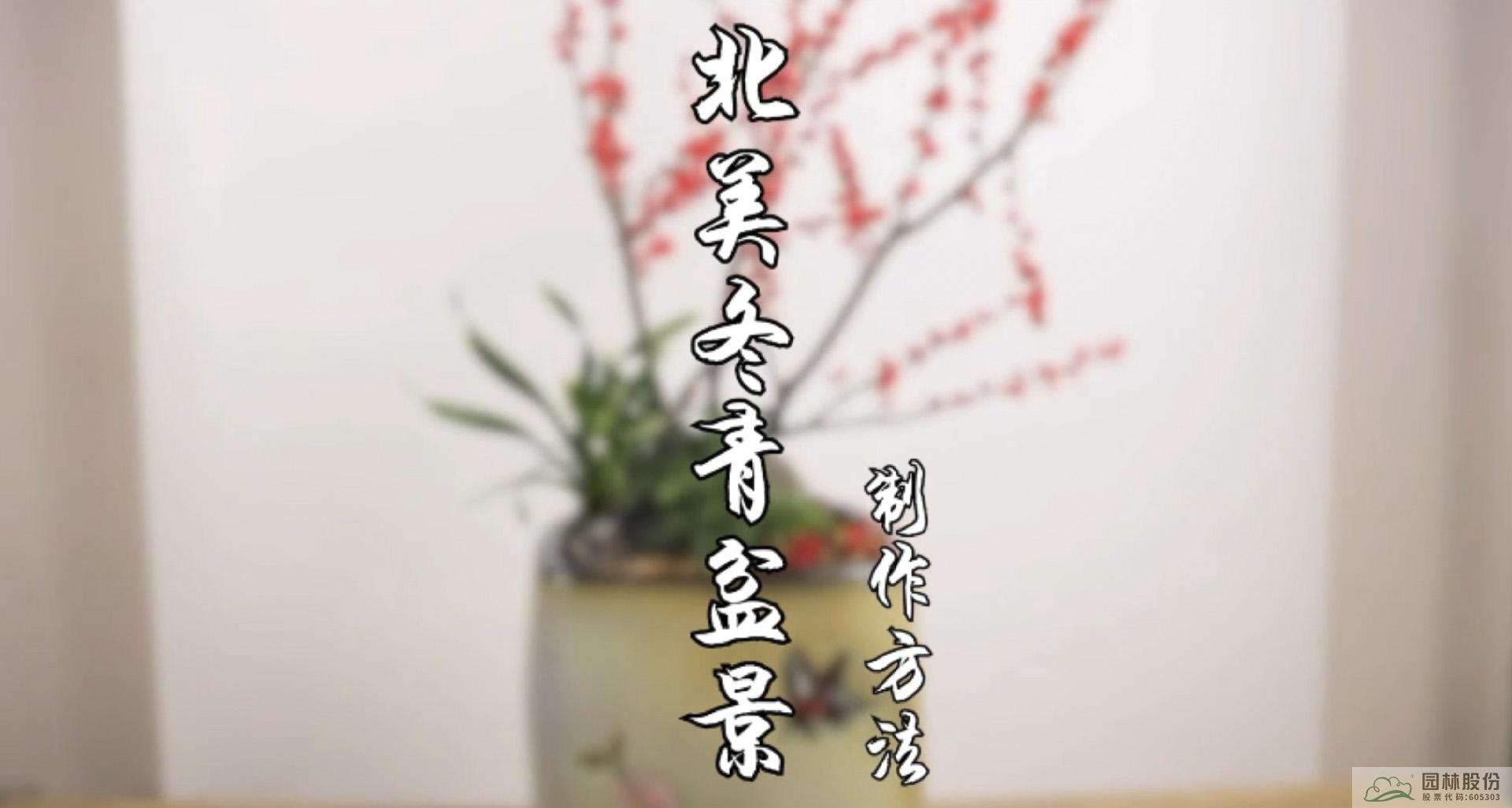 亚洲精品白浆高清久久久久久