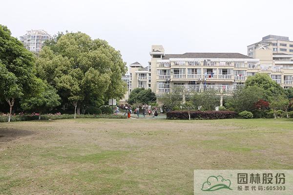 亚洲精品白浆高清久久久久久